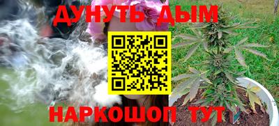 спиды Обь