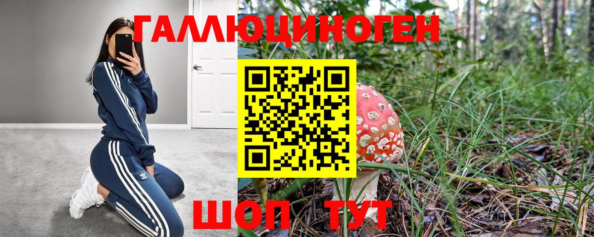 Галлюциногенные грибы Cubensis  Вход с VPN  Сатка 